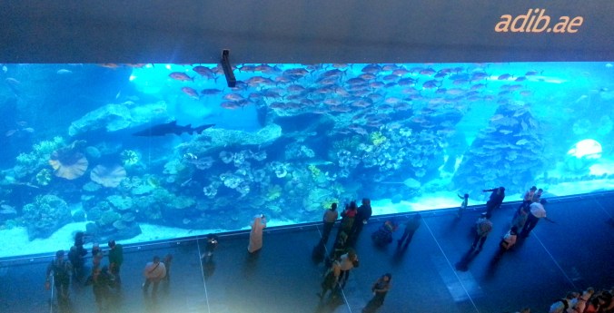 What's a mall without an aquarium, amirite?