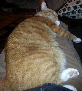 only good when he's asleep